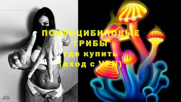 стафф Бронницы
