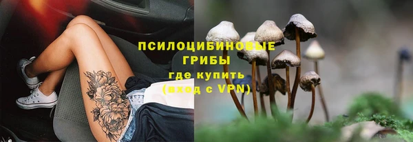 стафф Бронницы