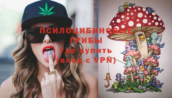 мет Бородино