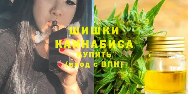 стафф Бронницы