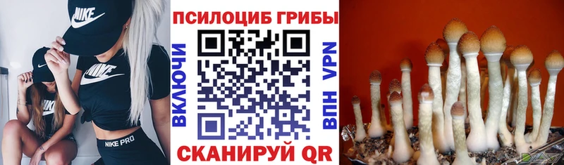 Псилоцибиновые грибы мицелий  купить наркотик  MEGA вход  Янаул 